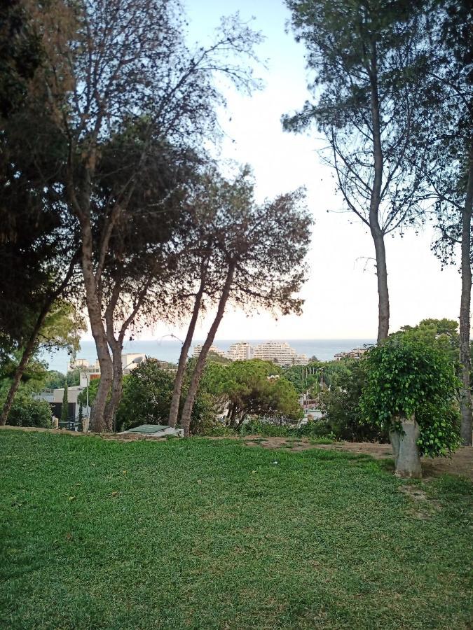Sweet Home Benalmadena, Estudio Con Vistas Al Mar Y Excelente Conexion Wifi, Para No Fumadores, Con Piscinas, Sea Views, With Swimming Pools, Completely Renovated, Ideal For Older People, Bright With Morning Sun, No Smoking Exteriör bild