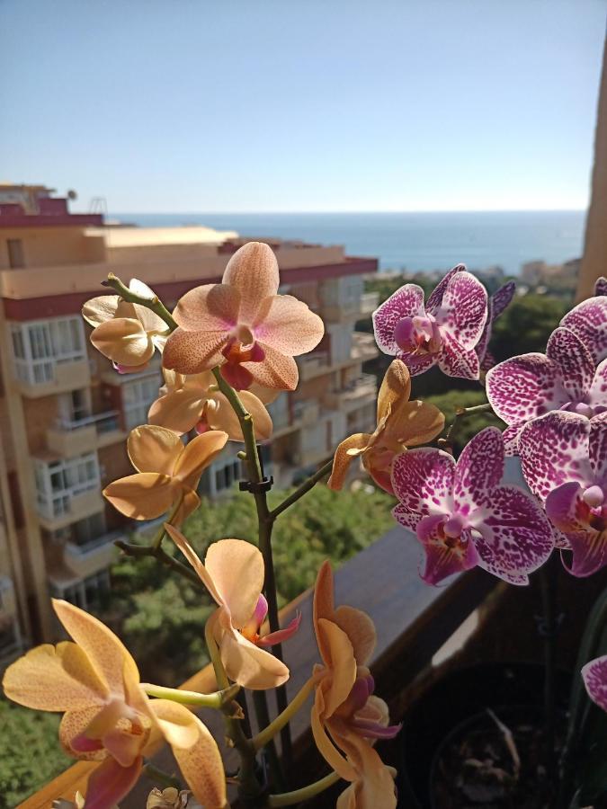 Sweet Home Benalmadena, Estudio Con Vistas Al Mar Y Excelente Conexion Wifi, Para No Fumadores, Con Piscinas, Sea Views, With Swimming Pools, Completely Renovated, Ideal For Older People, Bright With Morning Sun, No Smoking Exteriör bild